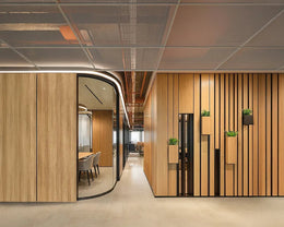 Architectural Timber Clad Partitions with Organic Curves and Integrated Biophilia