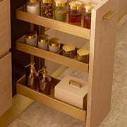Compact Spice Drawer with Tiered Jar & Dispenser Display