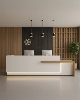 Contemporary Minimal Reception with Geometric Form & Wood Contrast