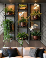 Ornamental Plant Display in Geometric Luxe Lounge