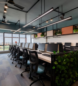 Contemporary Corporate Work Bay with Biophilic Accents