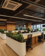 Organic Luxe Workspace – Where Nature Meets Modern Industry
