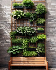 Urban Zen Wall with Modular Green Trellis