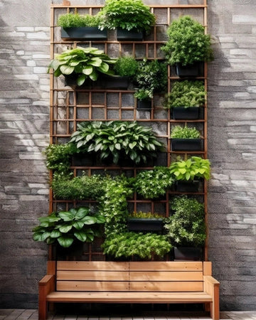 Urban Zen Wall with Modular Green Trellis