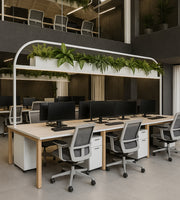 Biophilic Workspace Loft with Scandinavian Tones
