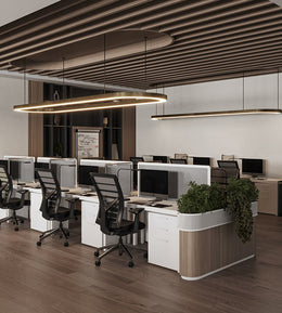 Grey-Toned Executive Workspace with Biophilic Boundaries