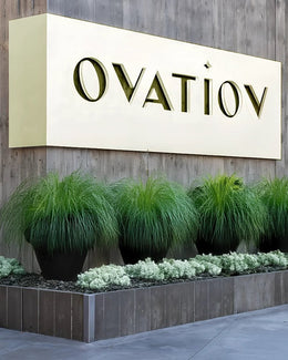 Sculptural Exterior Signage Wall with Cutout Branding and Verdant Base Planting