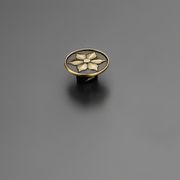 KN 10124 Cabinet Knob