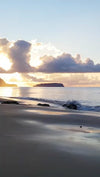 Scene Thumbnail