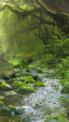 Scene Thumbnail