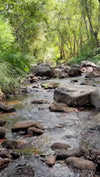 Scene Thumbnail