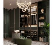 Door Luxury Walk-In Wardrobe with Open Display in Deep Green & Gold