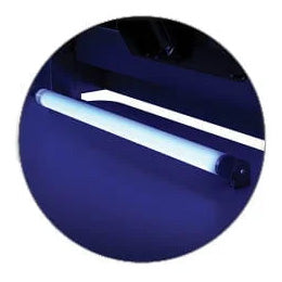 Blue Ambient