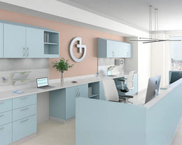 Premium Contemporary Healthcare Reception Area