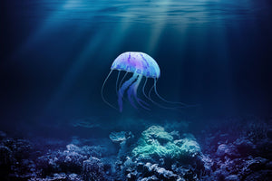 Deep Ocean