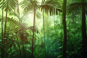 Jungle